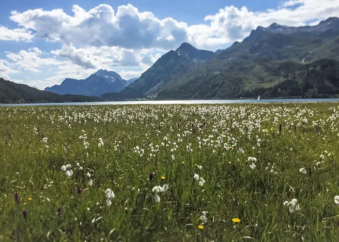 Apartment La Montanella 4 By Interhome *